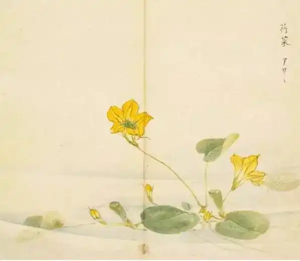 这三百首诗美了三千年,而你却连字都认不全