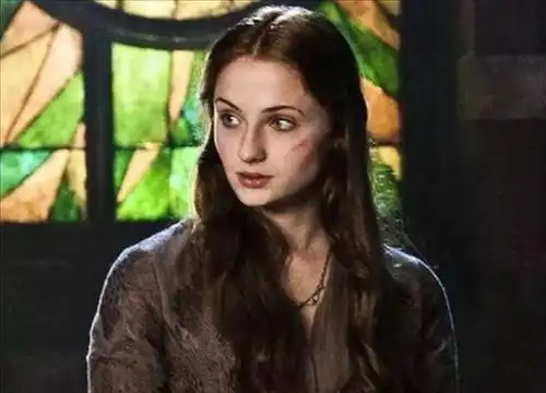 权力的游戏人物评猎狗爱珊莎,隐秘而伟大