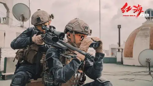 看过这张照片,就能明白红海行动为何拍的那么燃