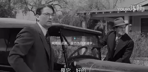 关于杀死一只知更鸟的思考
