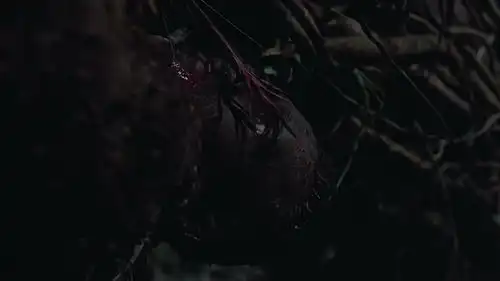 铁血战士达奇佯攻吸引铁血战士的注意力,铁血战士太容易上头了