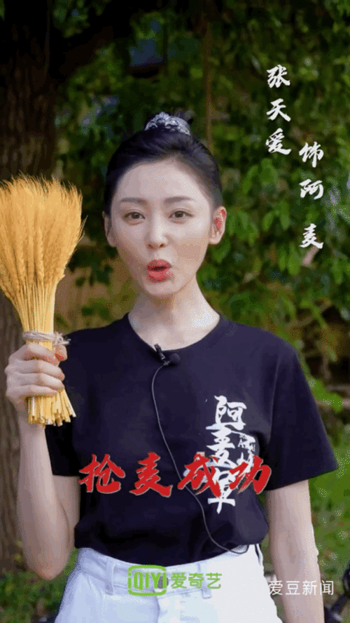 张天爱再次女扮男装英气造型又飒又美,网友有太子妃味道了
