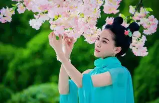 太子妃升职记结局网友曝于朦胧整容上位图
