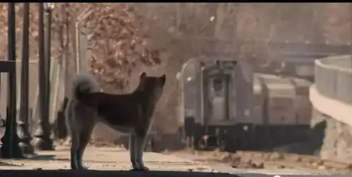 十部经典电影,让你感动的稀里哗啦