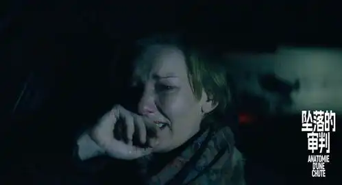 首映丨坠落的审判导演电影的任务是接近复杂的生活
