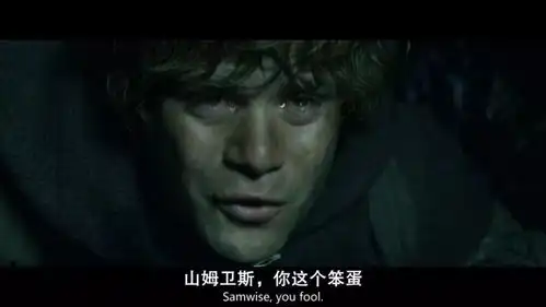 电影与原著小说比对之指环王王者归来