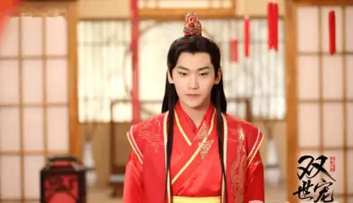 双世宠妃调皮王妃男女主颜值演技pk哪部更好看