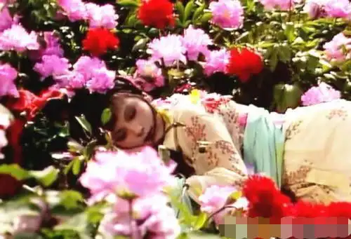 宝玉生日,贾环贾兰坐一会就走了,而女孩子来了却要热闹一番专家给出答案