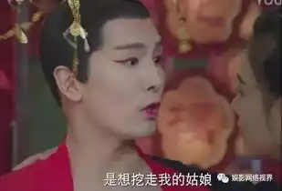 将军在上被卫视退货,不单单是因为像升级版的太子妃升职记啊
