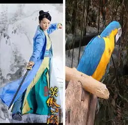 热血版笑傲江湖开机
