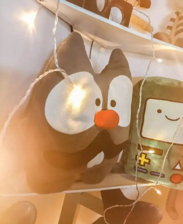 住的不如监狱大揭秘网络主播4.5m2蜗居生活荐号
