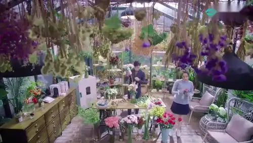 一千零一夜邓伦在花房若有所思,你是在想我么
