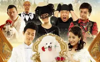 歌手主持模特网红都说我就是演员,跨界已成娱乐圈流行趋势
