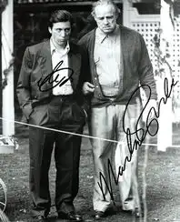 教父纪念照mtime时光网
