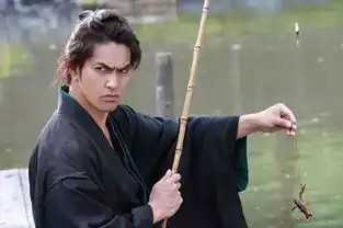 萌宠喵星人大盘点,它们才是日剧中的真主角