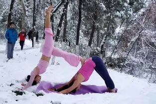 安徽淮北女子雪地赤膊赤脚练瑜伽6166599搜狐时尚频道图片库大视野搜狐
