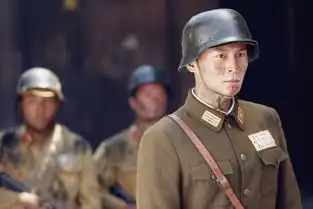 铁血军魂2015年金霖执导电视剧搜狗百科
