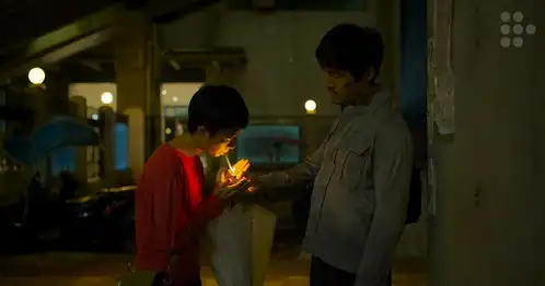 南方车站的聚会红的雨