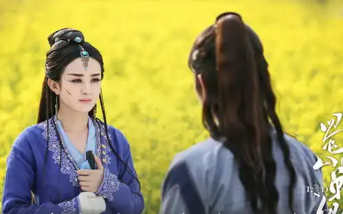 赵丽颖的几部剧楚乔传垫底杉杉来了火到国外
