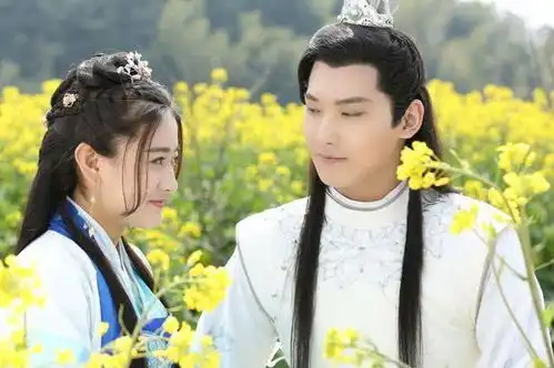 首播破亿的4部网剧,你若一部没看过算我输
