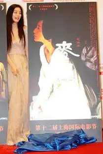 麦田发布会范冰冰揭幕海报