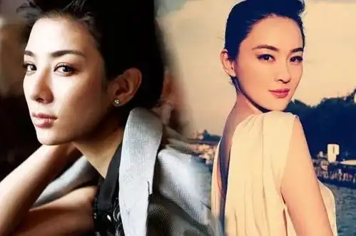 当真明星遇上假豪门,一个比一个惨,刘涛替夫还债,何静遇骗子