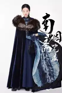 张丰毅黄轩袁咏仪新剧南烟斋笔录内容
