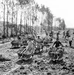 四世同堂的铁路黄河大桥时代在变,担纲不变