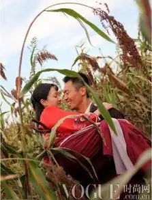 周迅赵薇范冰冰领衔,女神振兴电视剧