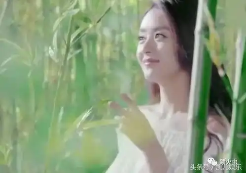 赵丽颖凭林浅一角金榜题名,拍摄的新剧未播先火
