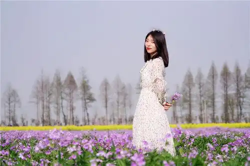 何必去婺源张家港常阴沙千亩油菜花许你一个花田美梦
