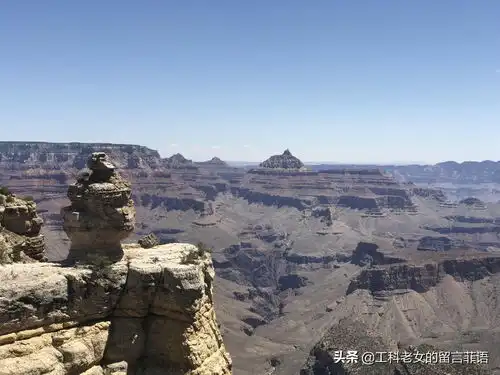 科罗拉多大峡谷土地太贫瘠,长棵大树不容易
