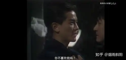 天若有情里鲁德培到底是不是攻
