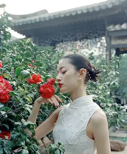 杜鹃冷色调照片犹如新生,旗袍装扮演示古典美,色彩鲜明百媚生