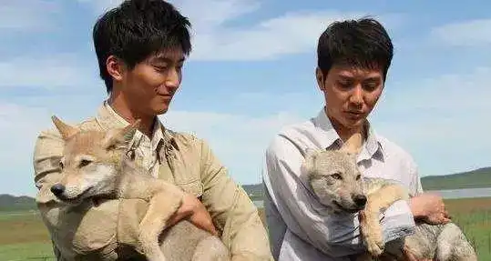 窦骁何超莲公开恋情,奚梦瑶的身份尴尬了