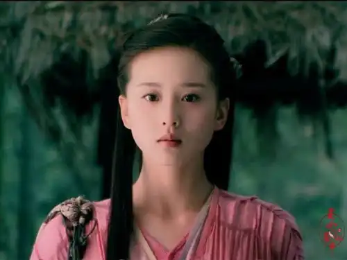 武侠泰斗金庸逝世,他的武侠剧捧红的演员都有哪些
