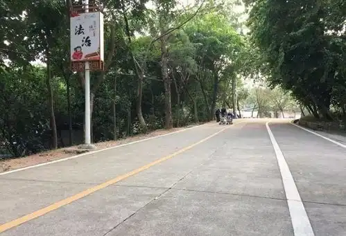 女子被陌生男子捂嘴拖进树林,被抓后他说了句话,又被放了
