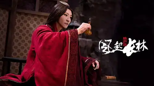 琅琊榜之风起长林权谋传奇影视剧原著,正午阳光原班团队打造
