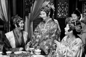 红楼梦拍摄近半李少红不再为白丁惊梦