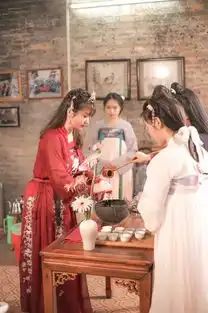 古村茶香里的惊鸿一瞥书院迎来了传说中的窈窕淑女