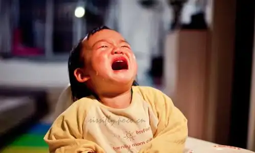 娃有没有教养,饭桌上见真章年前父母别忘培养孩子餐桌礼仪
