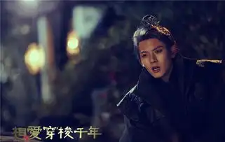 相爱穿梭千年剧照
