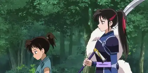 半妖的夜叉姬口碑下滑,犬夜叉的播放量却猛增,这是怎么回事
