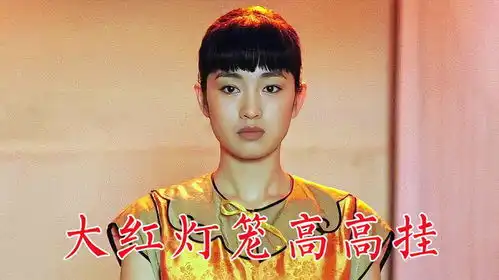大红灯笼高高挂1991年张艺谋导演巩俐主演,妻妾成群封建家庭