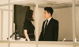 专访黄轩我这个翻译官是有层次的
