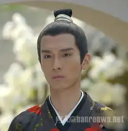 太子妃升职记颜值爆表魔性霸屏完胜芈月传
