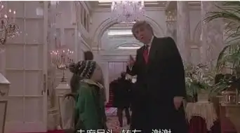 美总统特朗普在电影小鬼当家里客串过角色原因你想不到

