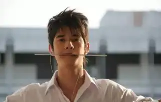 张庭携奶奶出席婚礼曾经的男神们,你还敢认吗
