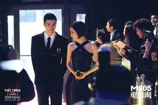 电影档案郭敬明和他炮火连天的小时代
