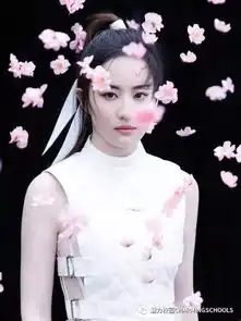 兴奋丨迪士尼选中刘亦菲出演花木兰机会总是留给有准备的人
